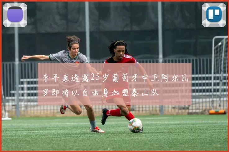 李平康透露25岁葡萄牙中卫阿尔瓦罗即将以自由身加盟泰山队